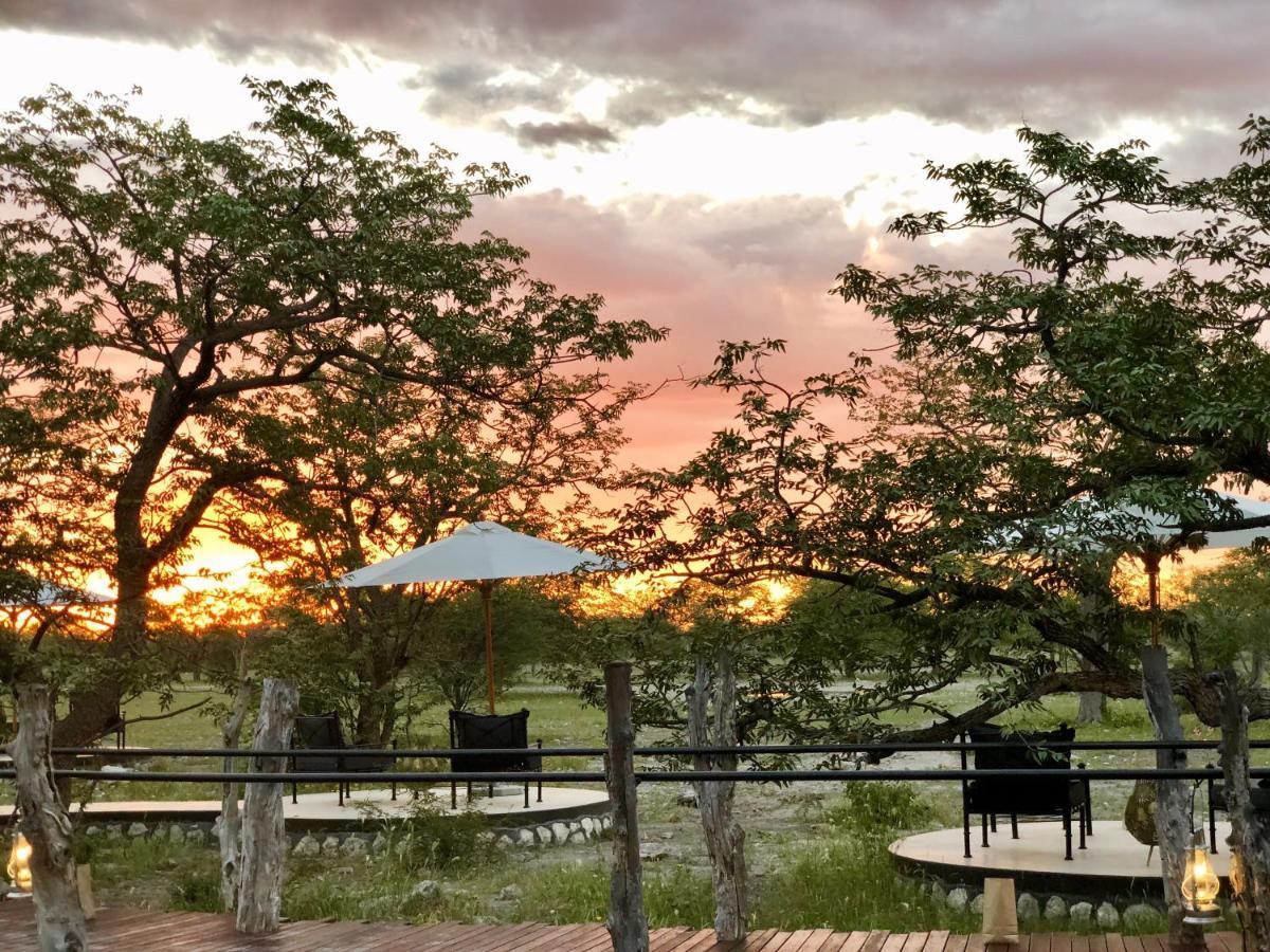 Etosha Oberland Lodge 오카우쿠에요 외부 사진