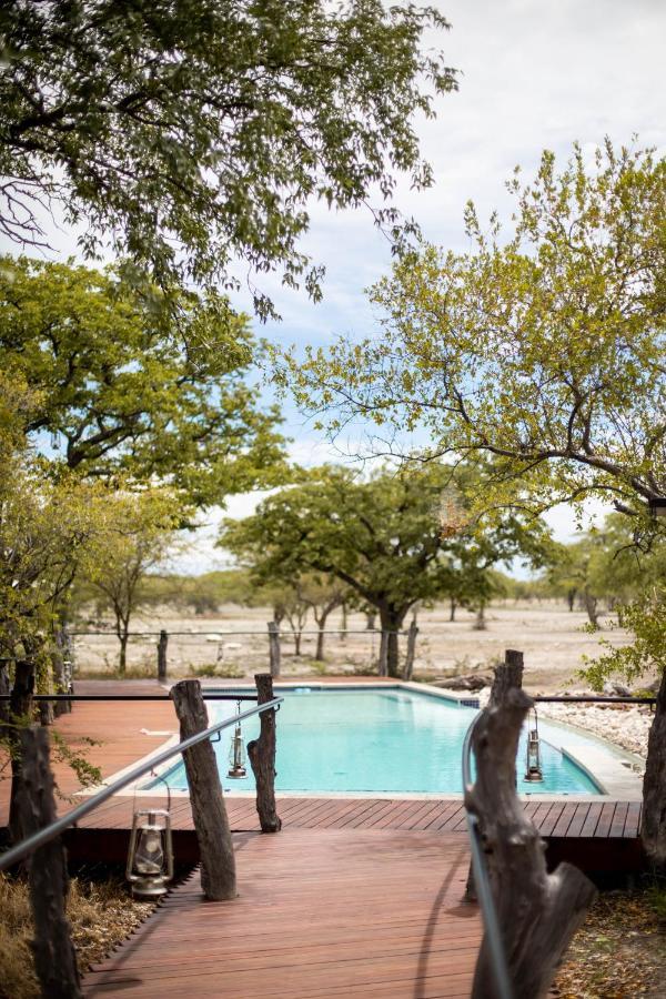 Etosha Oberland Lodge 오카우쿠에요 외부 사진